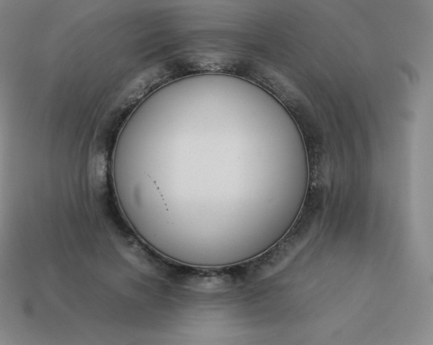 X0000113910646200910081851