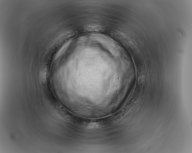 X0000113910647200910081851