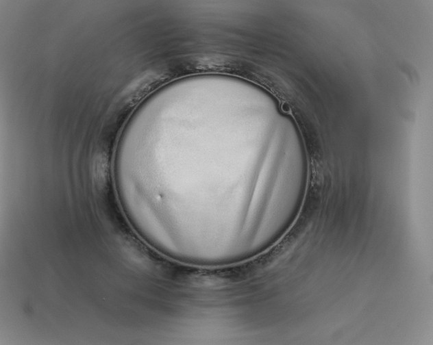 X0000113910648200910081851