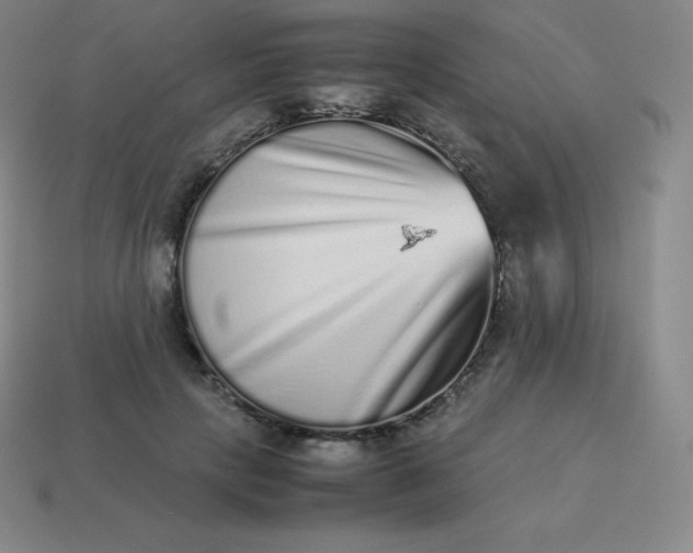 X0000113910649200910081851