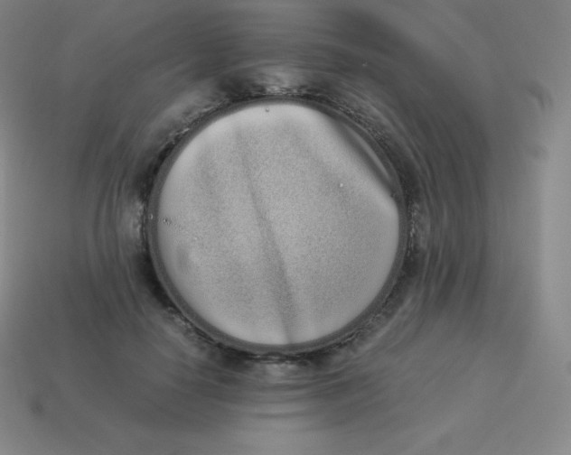 X0000113910650200910081851