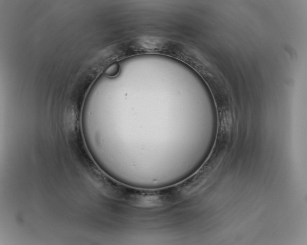 X0000113910651200910081851