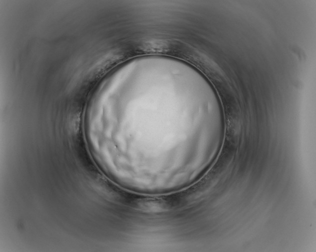 X0000113910652200910081851