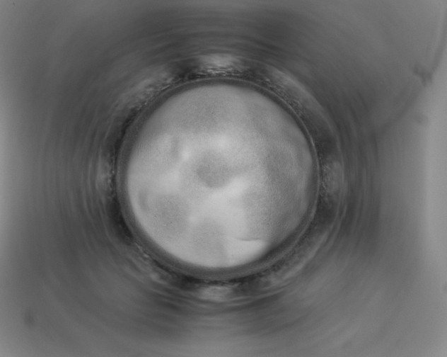 X0000113910653200910081851