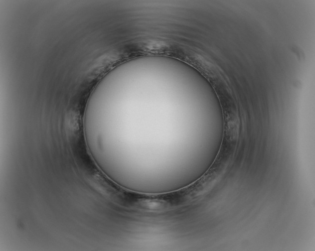 X0000113910654200910081851