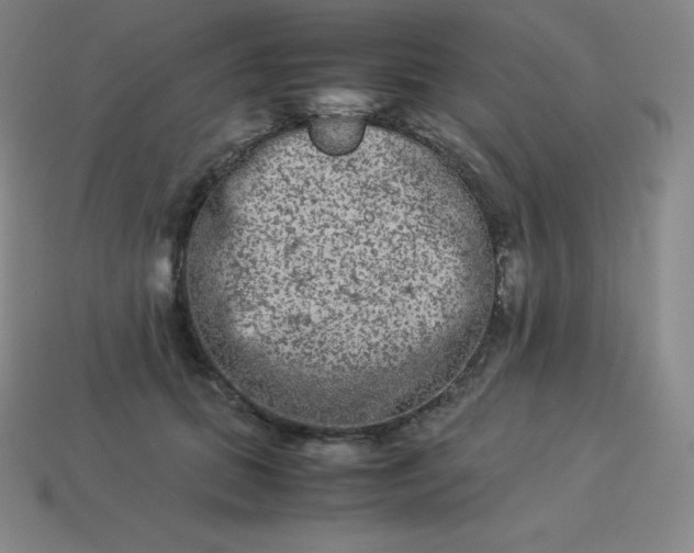 X0000113910655200910081851