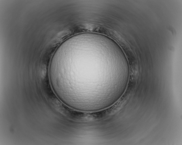 X0000113910656200910081851