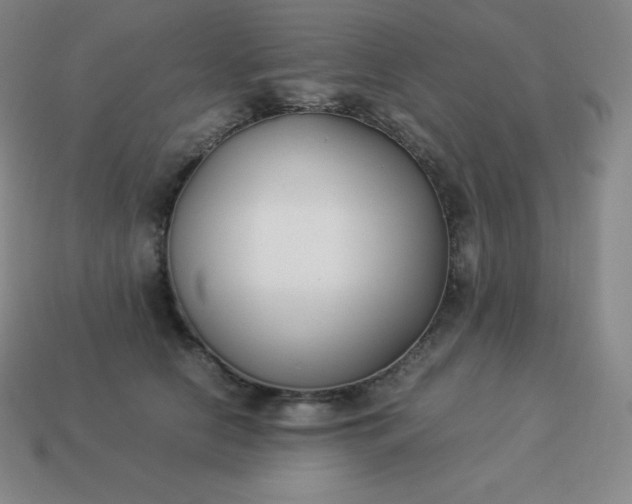 X0000113910658200910081851