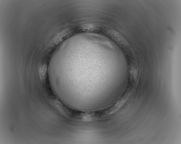 X0000113910660200910081851