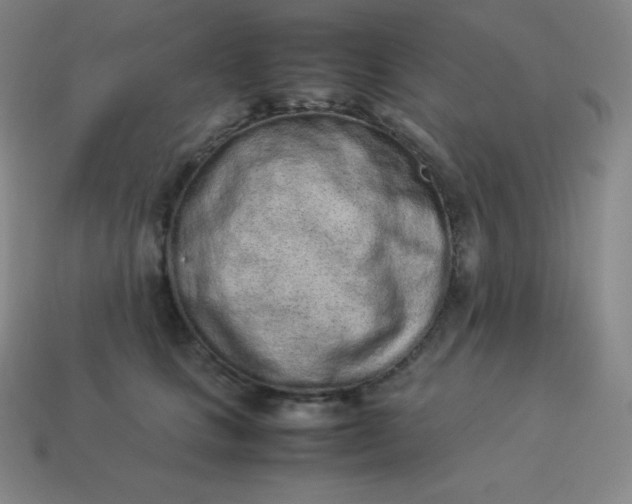 X0000113910661200910081851