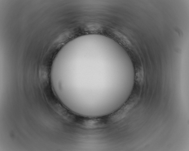 X0000113910662200910081851