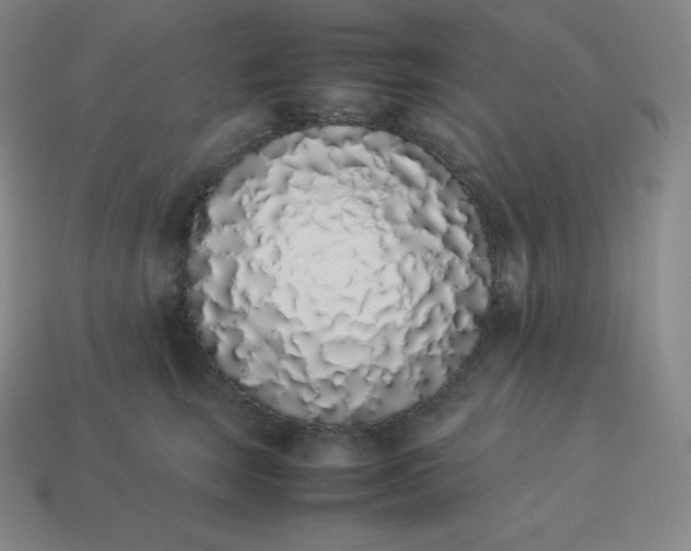 X0000113910663200910081851