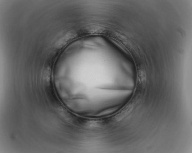 X0000113910664200910081851