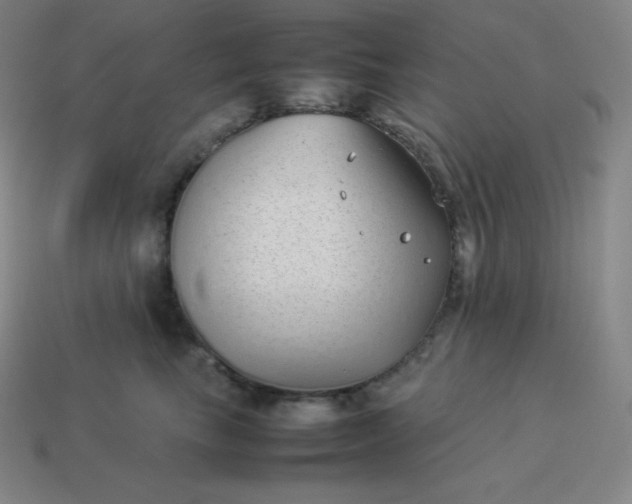 X0000113910665200910081851