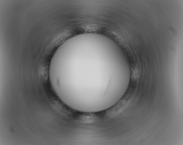 X0000113910666200910081851