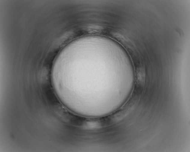 X0000113910667200910081851