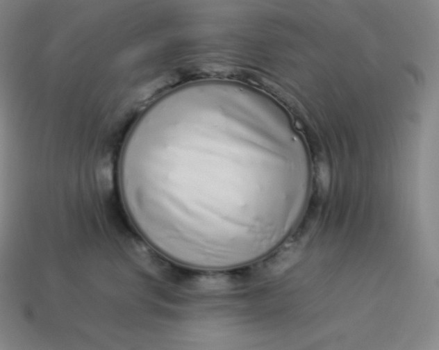 X0000113910668200910081851