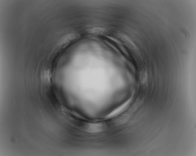 X0000113910669200910081851