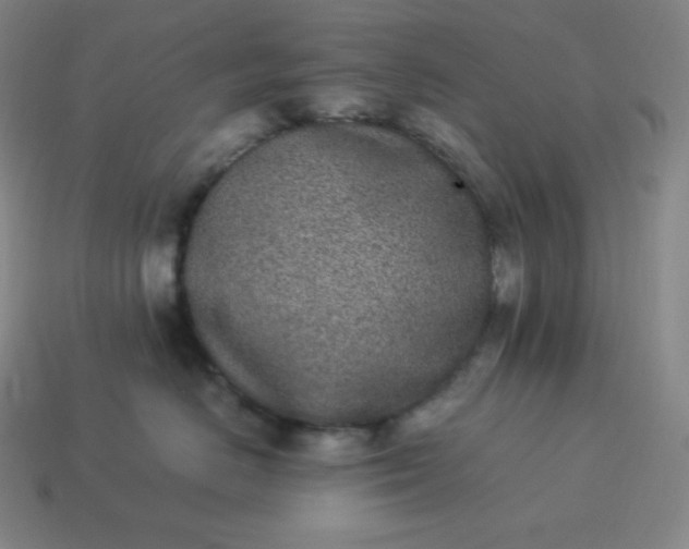 X0000113910670200910081851