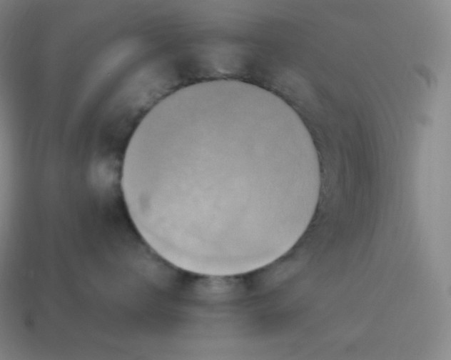 X0000113910672200910081851