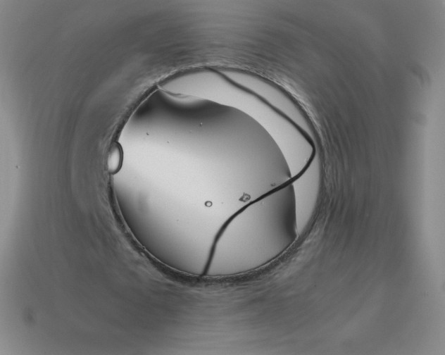 X0000113910673200910081850