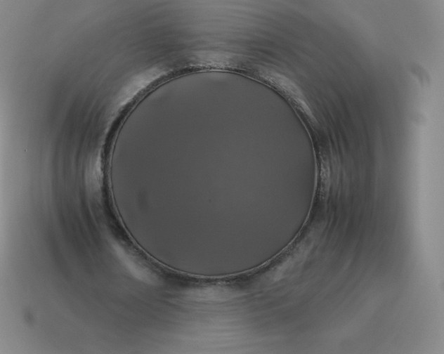 X0000113910674200910081850