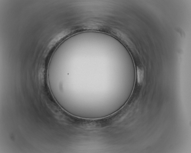 X0000113910675200910081850