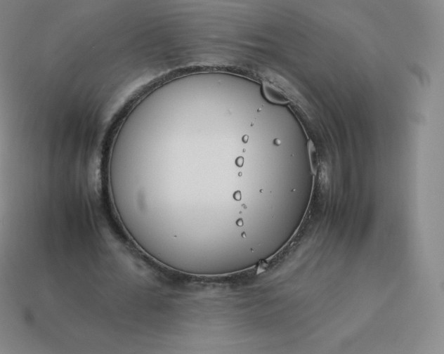 X0000113910676200910081850