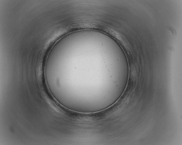 X0000113910677200910081850