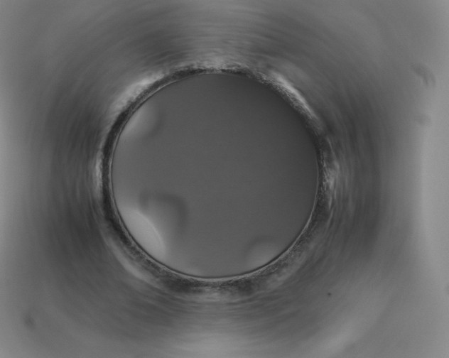 X0000113910678200910081850