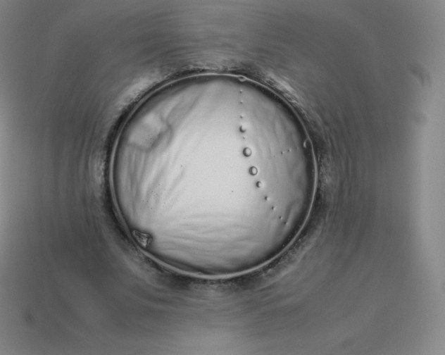 X0000113910679200910081850