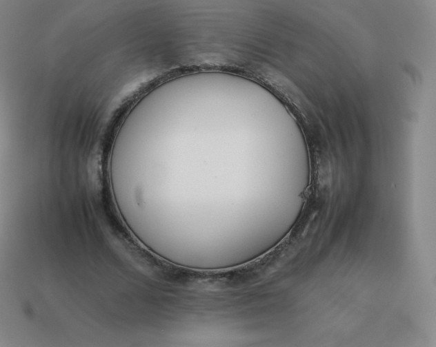 X0000113910680200910081850