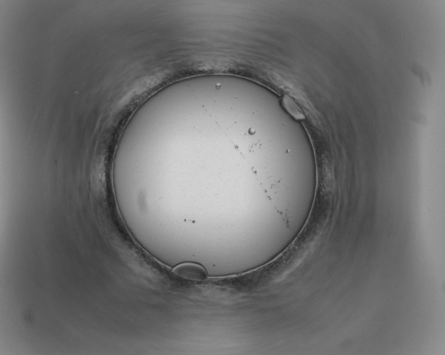 X0000113910681200910081850