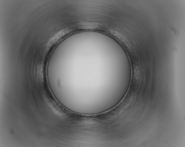 X0000113910682200910081850