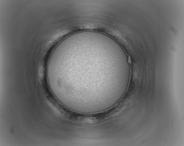 X0000113910683200910081850