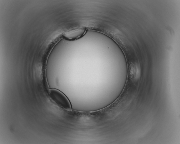 X0000113910684200910081850