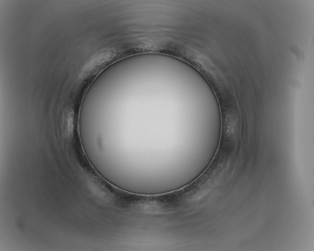 X0000113910685200910081850