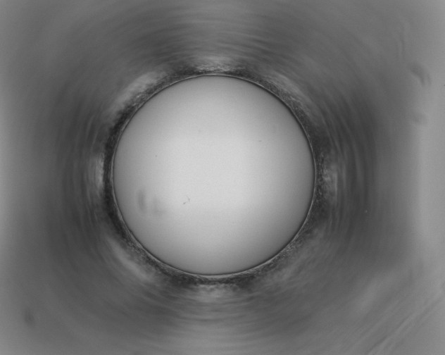 X0000113910686200910081850