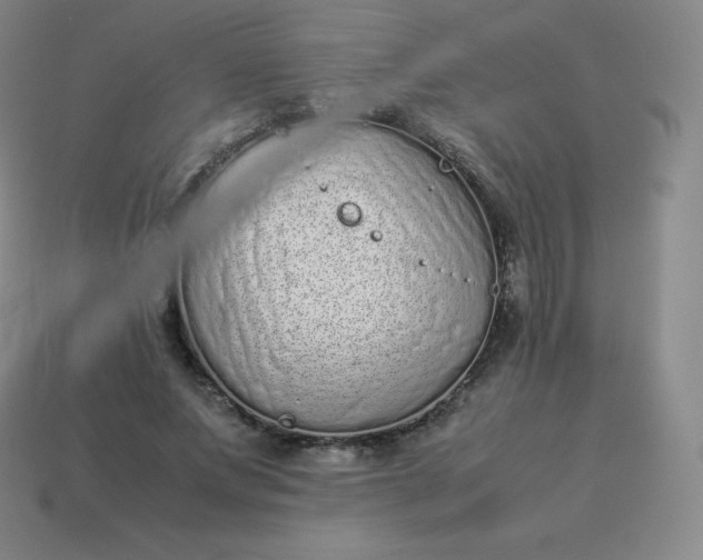 X0000113910687200910081850