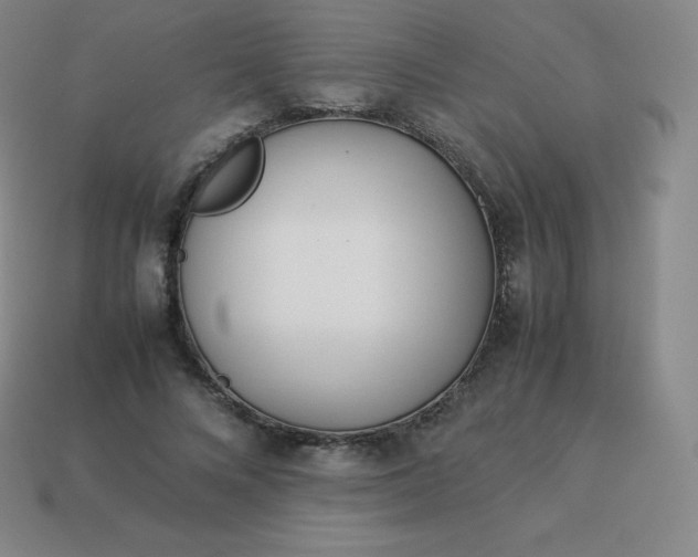 X0000113910688200910081850