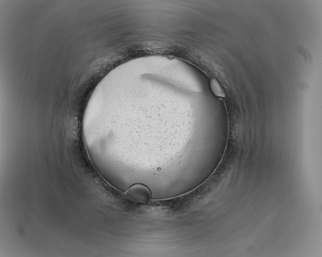 X0000113910689200910081850