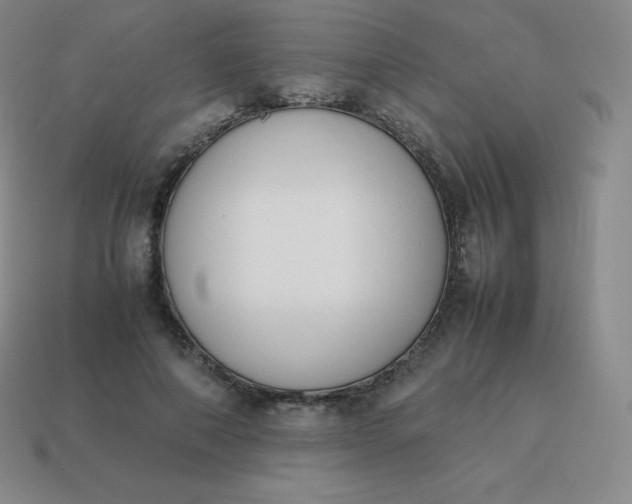 X0000113910690200910081850