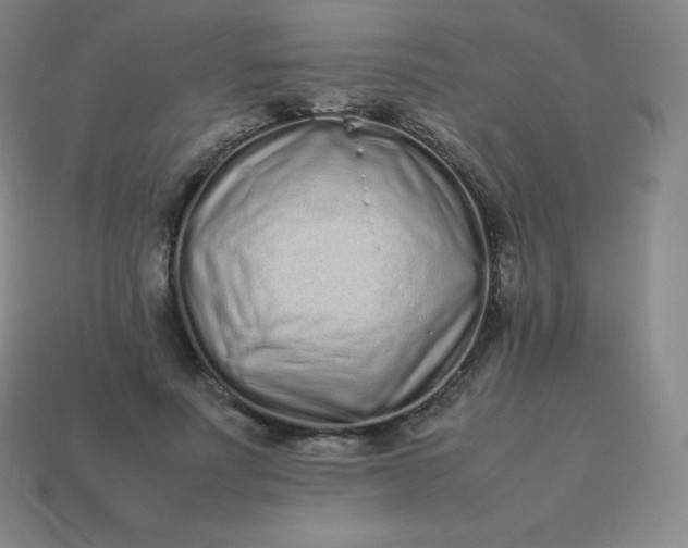 X0000113910691200910081850