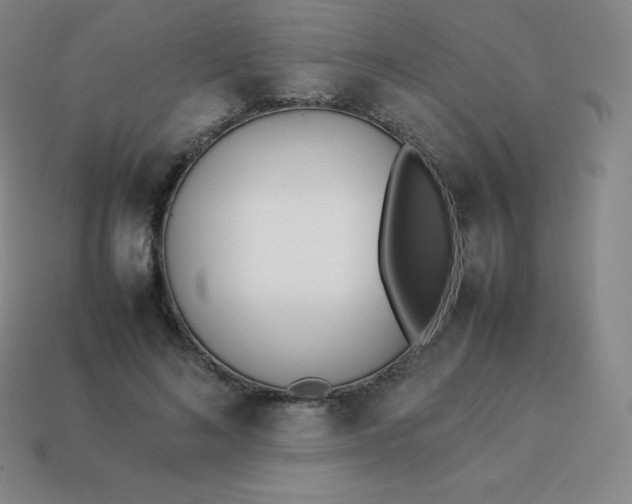 X0000113910692200910081850