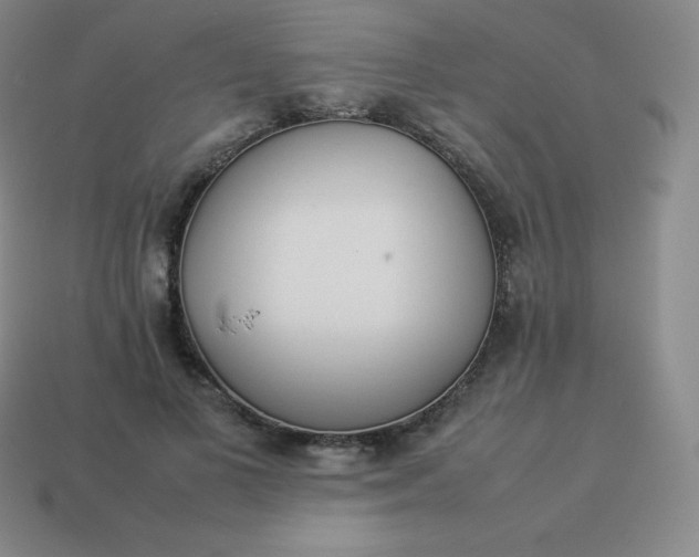 X0000113910693200910081850