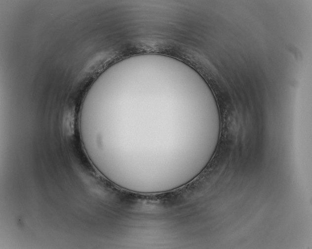 X0000113910694200910081850