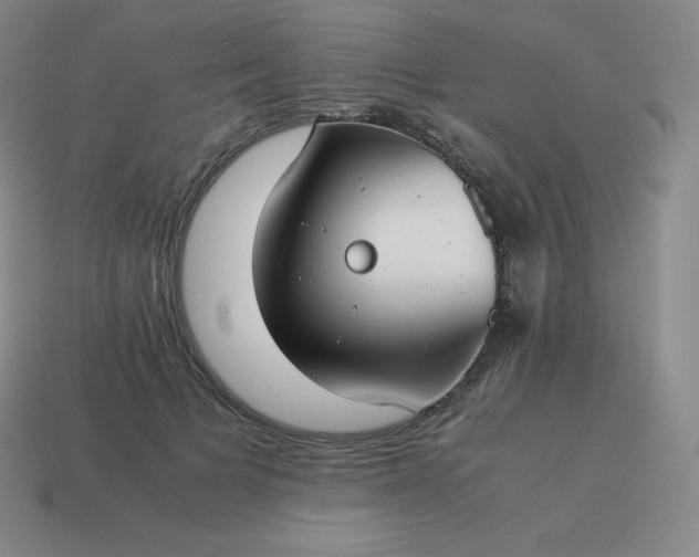 X0000113910697200910081850