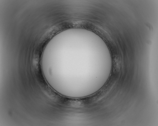 X0000113910698200910081850