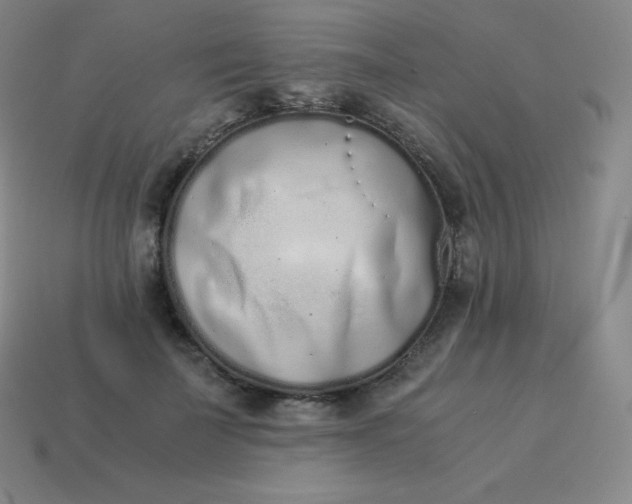 X0000113910699200910081850