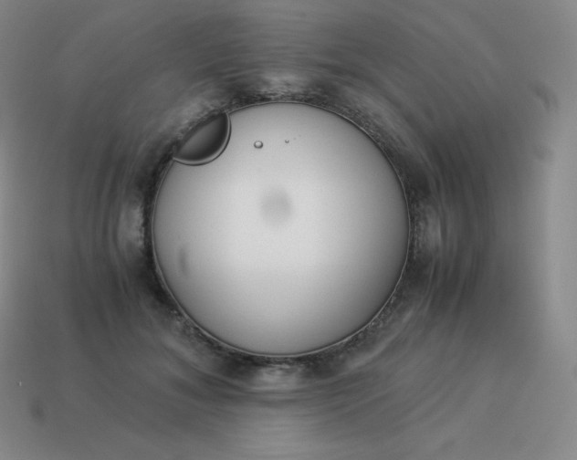 X0000113910700200910081850